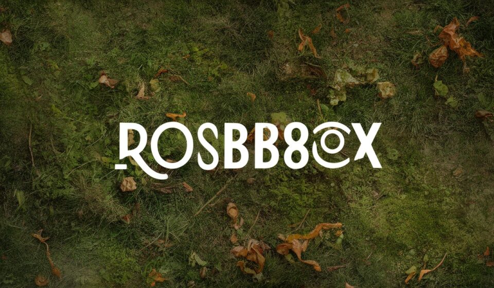 rosboxar