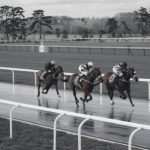 polytrack unblocked
